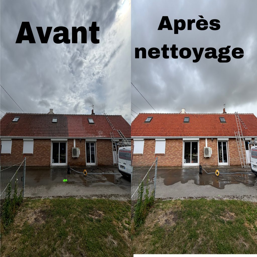nettoyage de toiture en tuile rouge terre cuite à Longnes