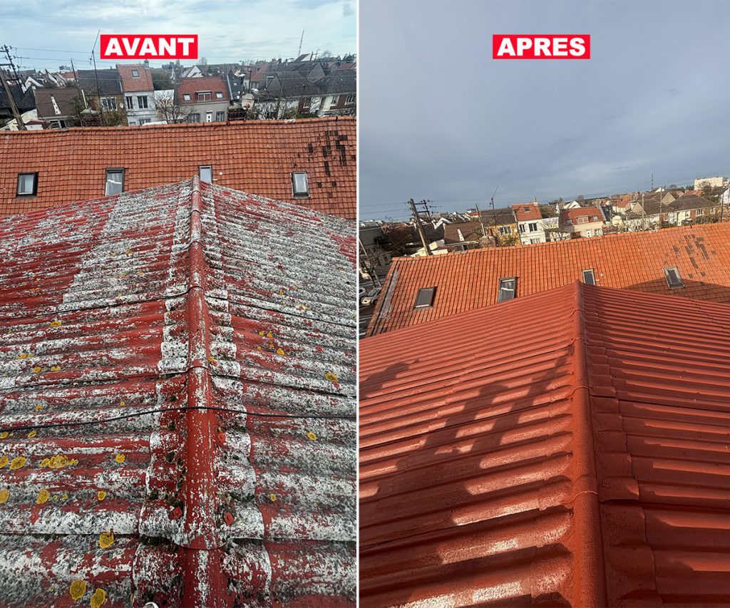 nettoyage de toiture en tôle fibro et remise en peinture à Ézy-sur-Eure